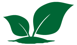 Moestuin Brooseinde 2025