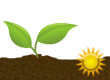 Beetje zon Beetje zon