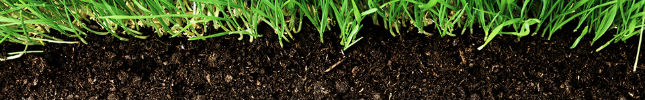 Moestuin bodem Moestuin bodem